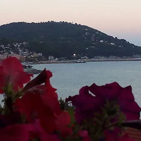 Letoh Moma Πανσιόν