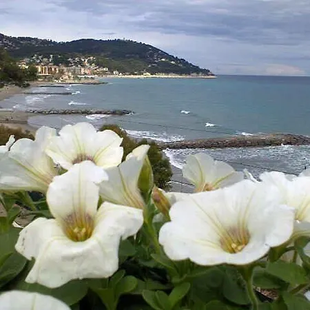 Letoh Moma Πανσιόν